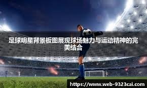 哈曼：如果多特在终场前多守住几场胜利，那么没人会批评什么