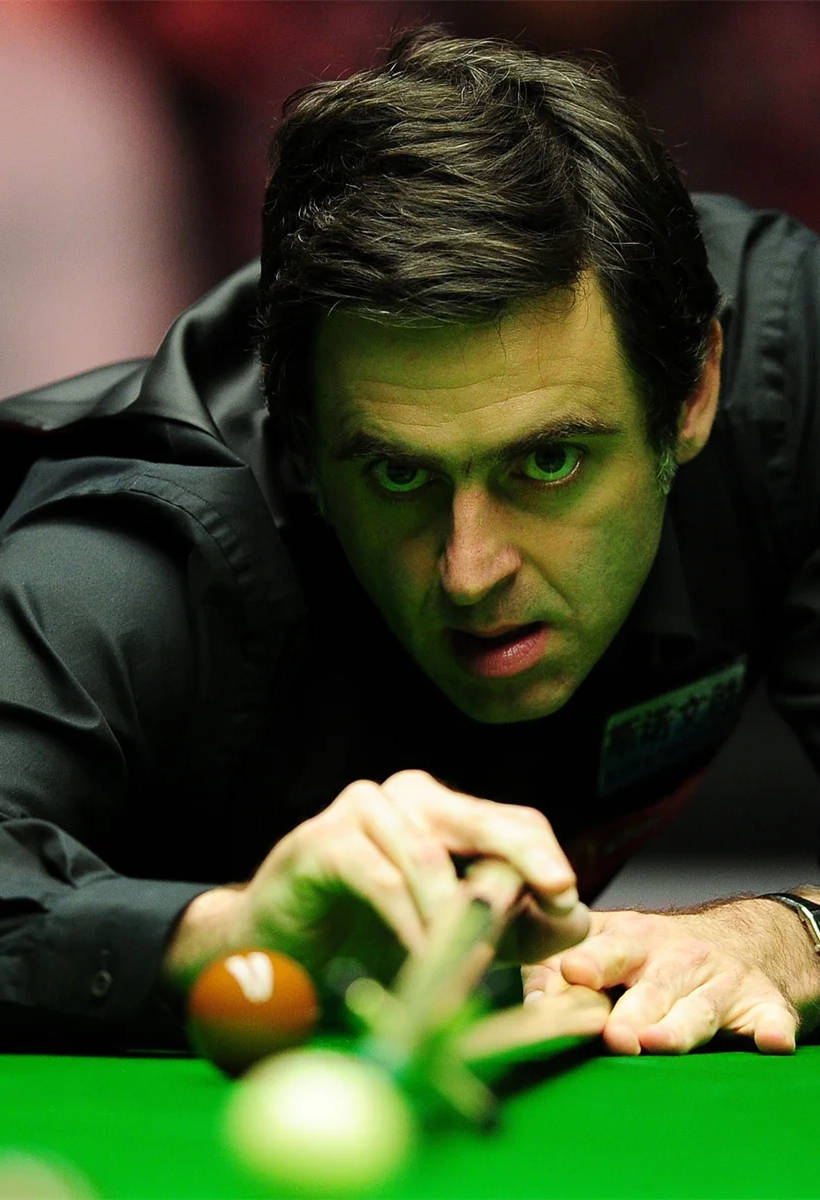 我的追求 我的追求