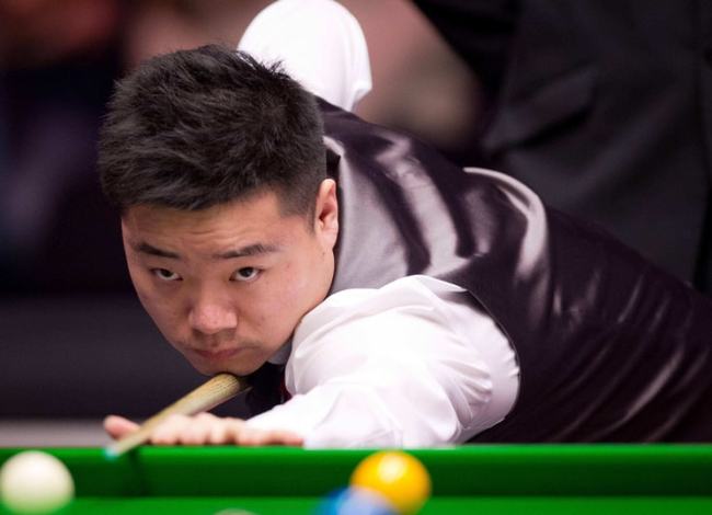 上面印着林 上面印着林